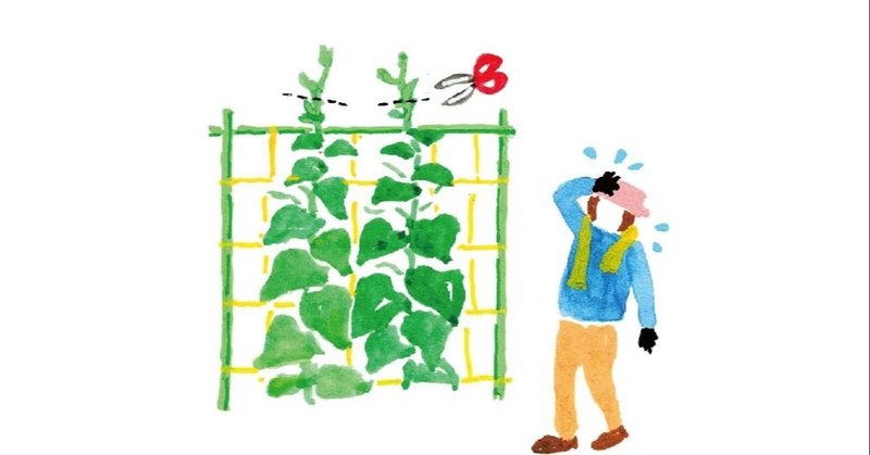 夏野菜のお手入れ キュウリの育て方 Machinoniwa マチノニワ イラストレーター Note