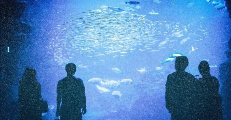 水族館の深海魚 深海魚の捕まえ方 ひこまる 東大サイエンサー Note 水族館の深海魚 深海魚の捕まえ方 ひこまる 東大サイエンサー Note