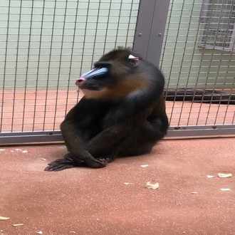 離婚して見えた 本当の友人 の見分け方 まいたか のたか Note