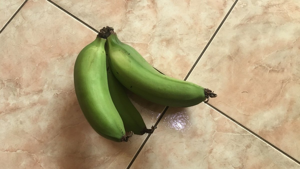 おうちで世界旅行｜赤道ギニア｜asa