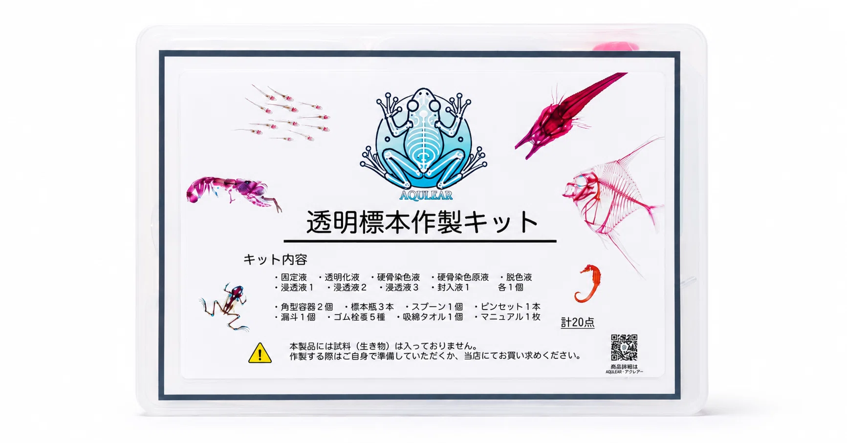 当店オリジナル【透明標本作製キット】（上級）作製マニュアル+補助