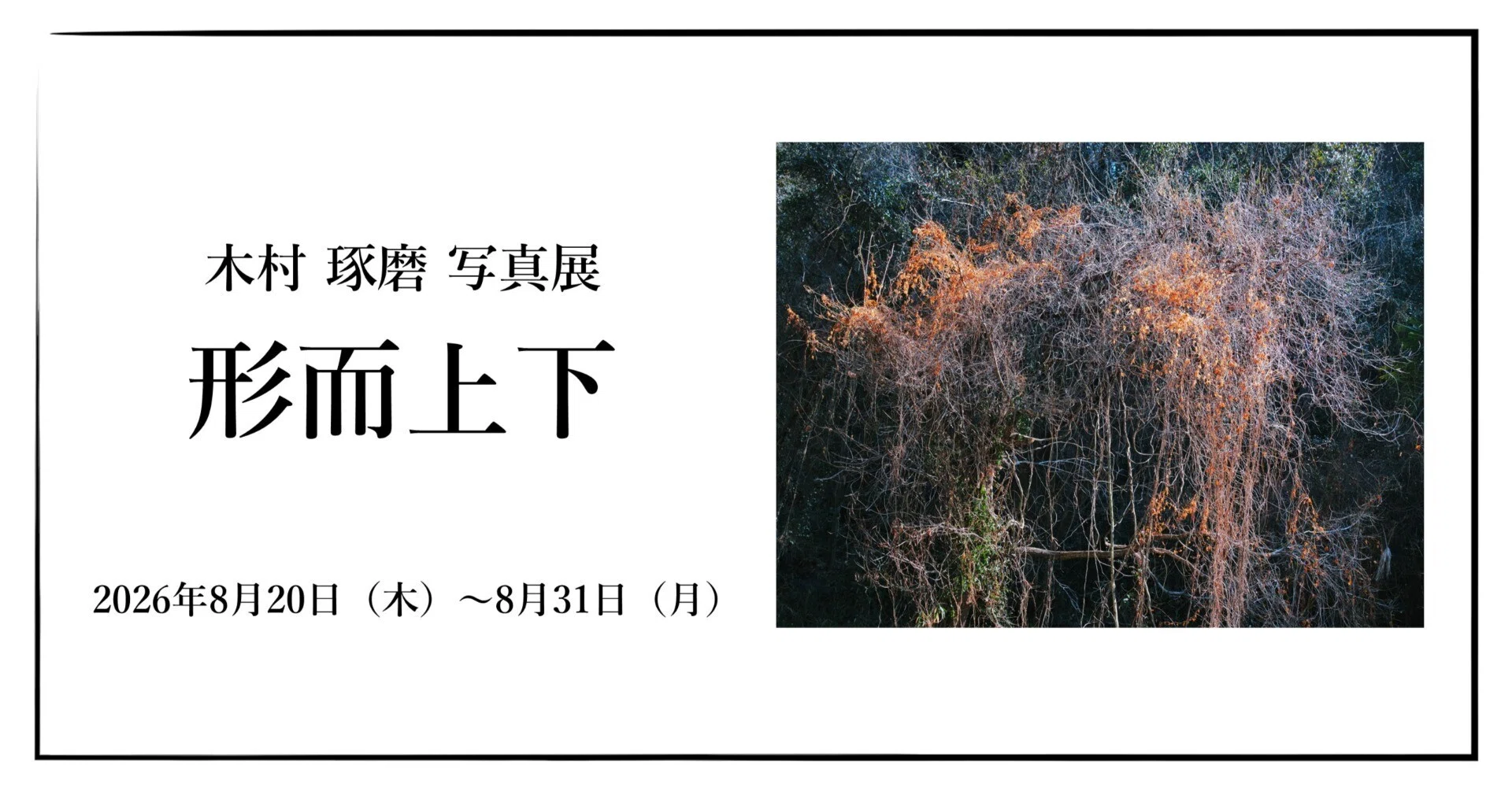 秋山泉、【樹間】、希少な額装用画集より、新品額装付、状態良好 2026年8月20日（木）～8月31日（月）木村琢磨 写真展「形而上下」｜OM