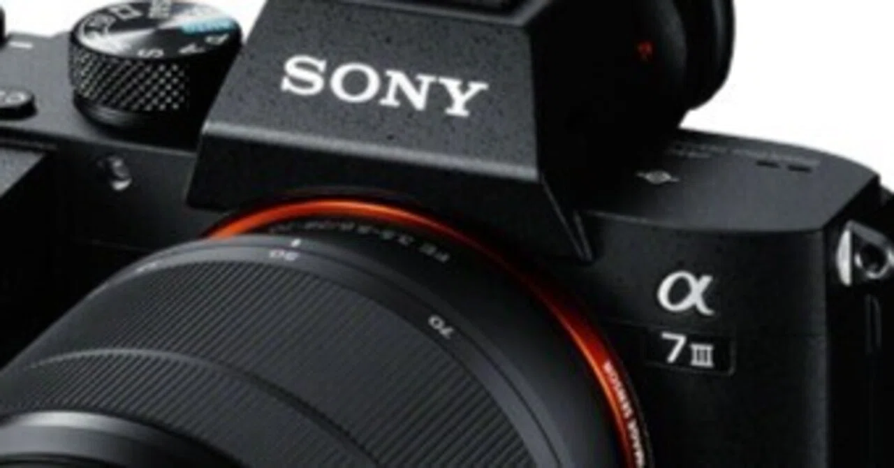 α7 IIとα7 IIIは別物だった。たった4年間で誕生したソニーの名機「α7