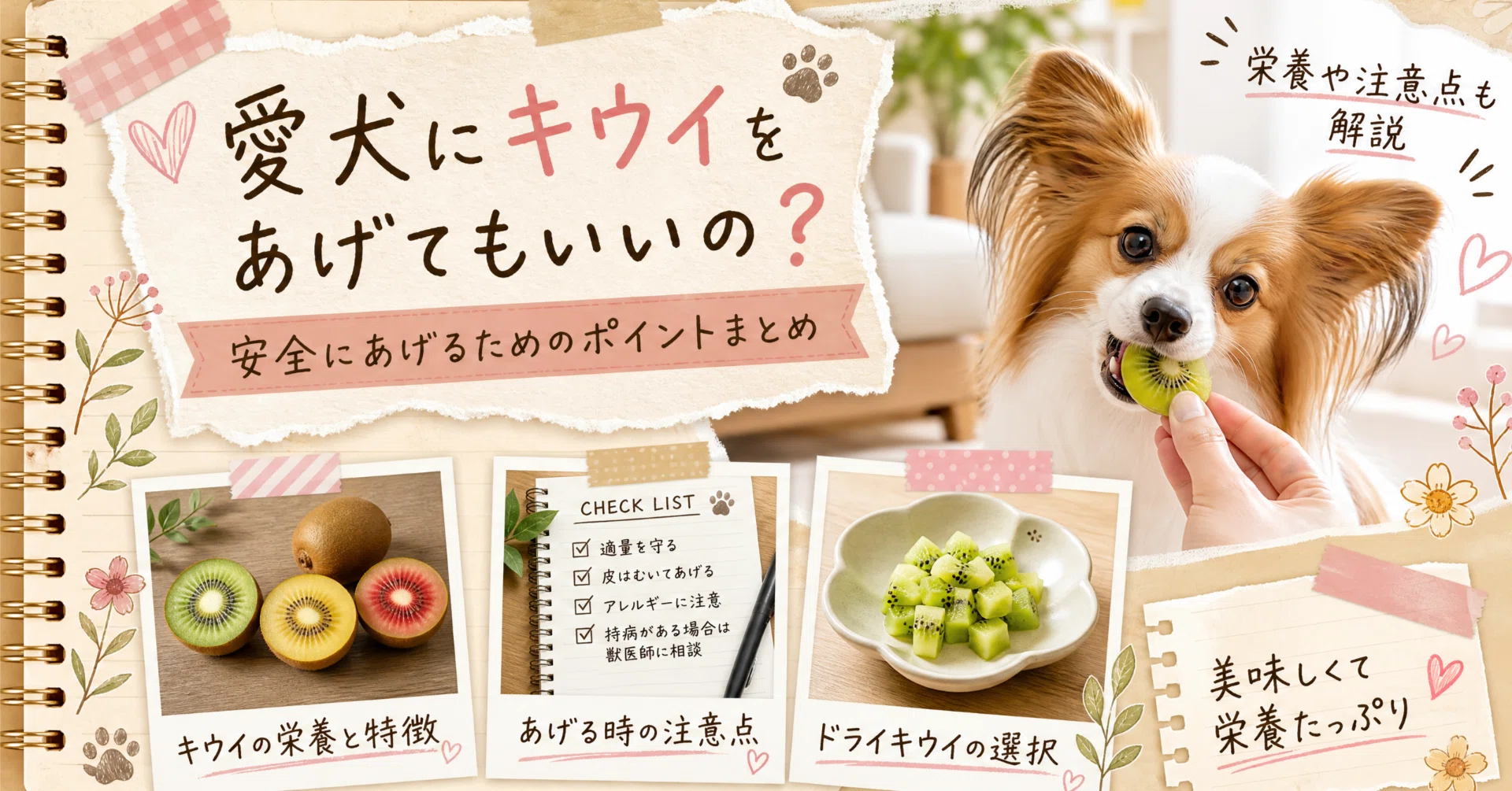 犬＋キーウィ おまとめ 【公式ショッピングサイト】
