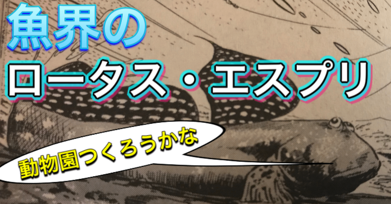 1分でわかる ムツゴロウ 宇呂草見 Note