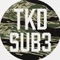 TKD|20年ぶりのサブ3達成