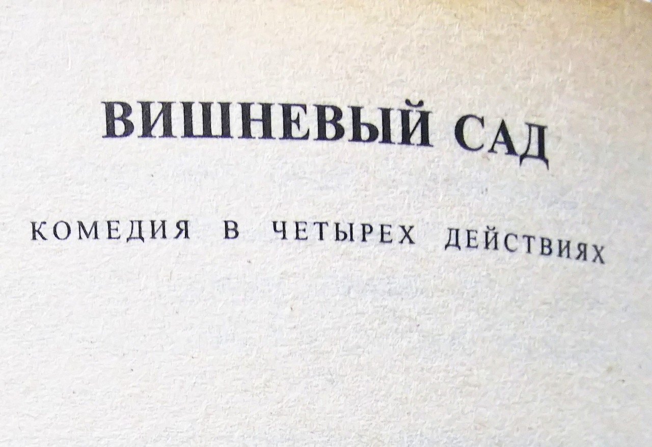 眠れない夜 ロシア語への愛を再確認する すのはら かなん Note