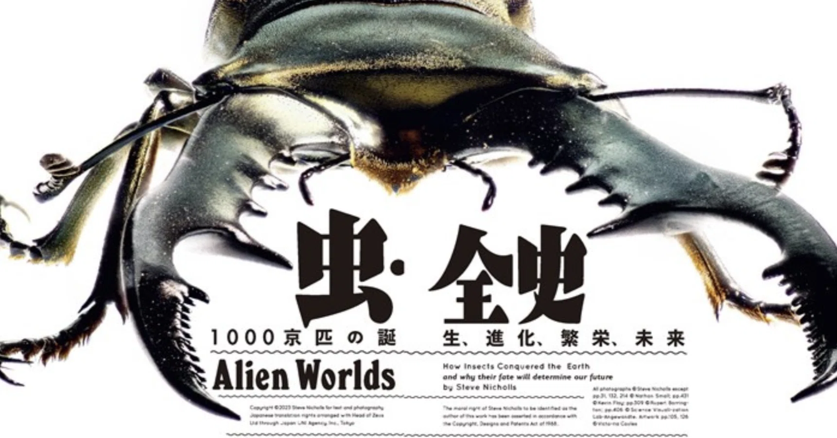 書評：虫・全史 600ページ越えの昆虫解説書｜D-Sphere