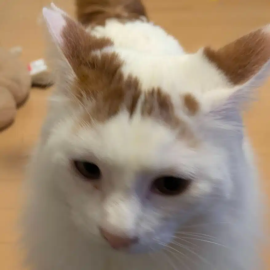 ミル造