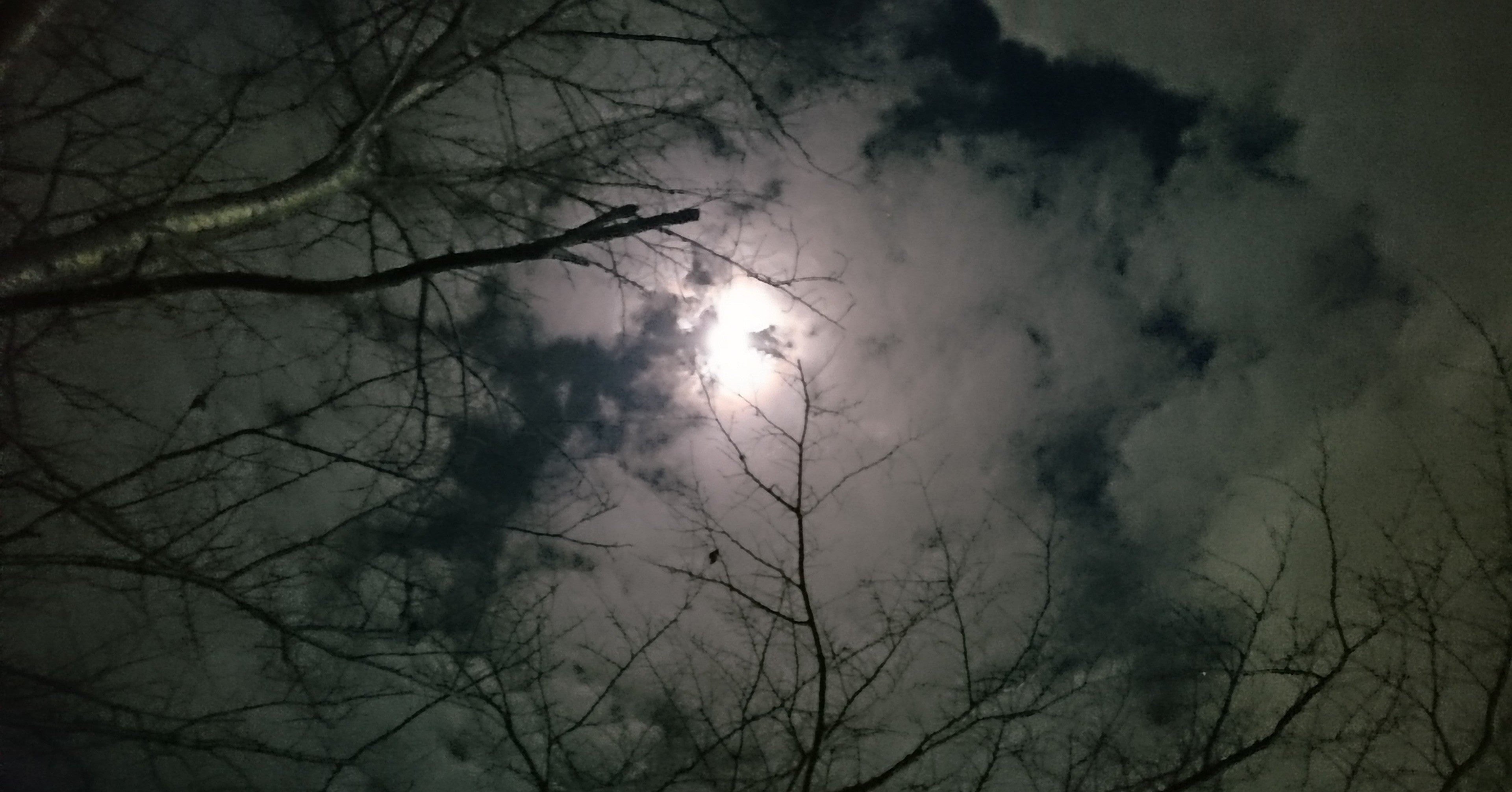 映画 ある優しき殺人者の記録 ゴクラクテン Note