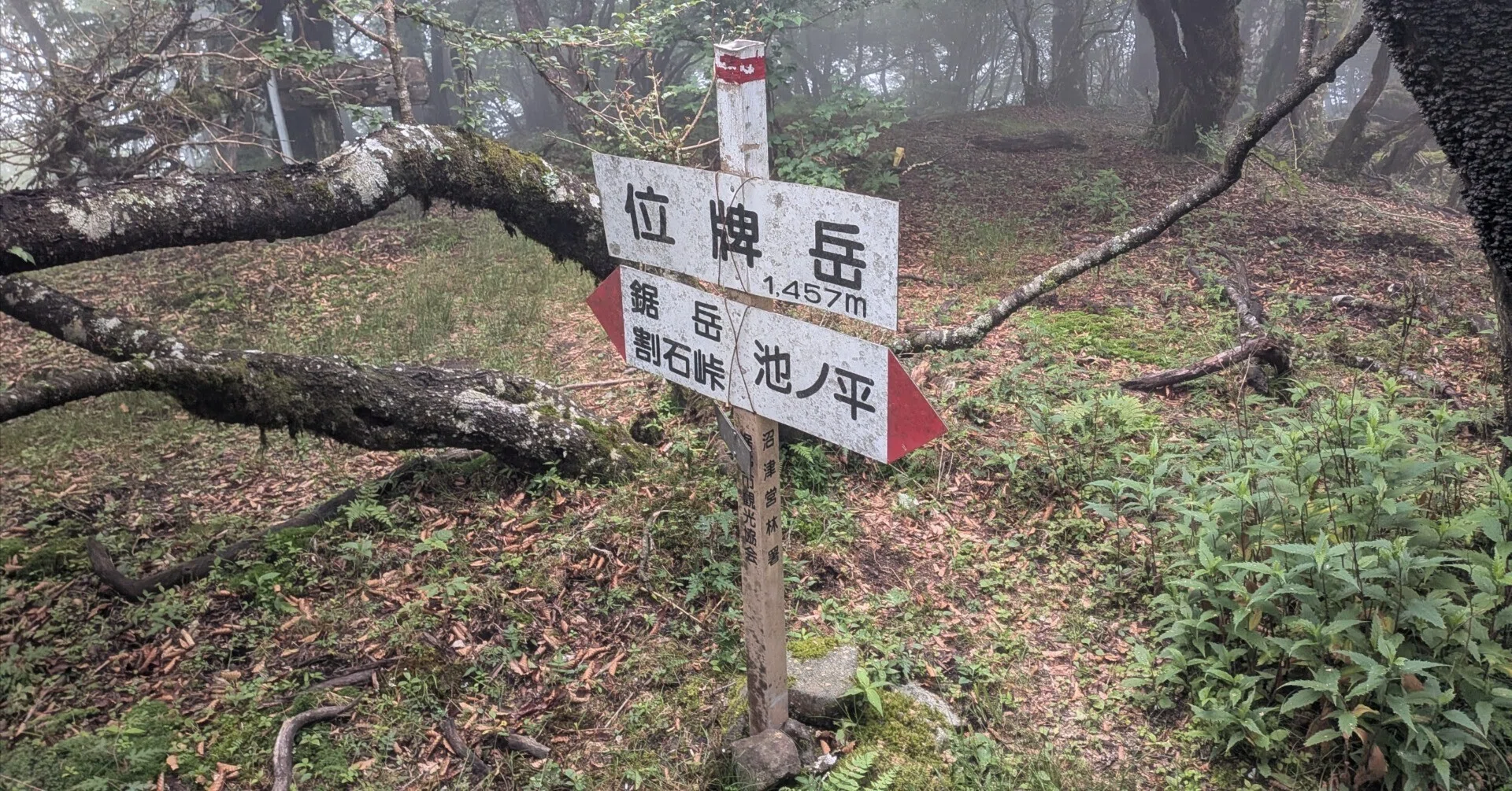ヨモツヘグイは死の香り〜R8.7.4位牌岳登山｜たけひこ