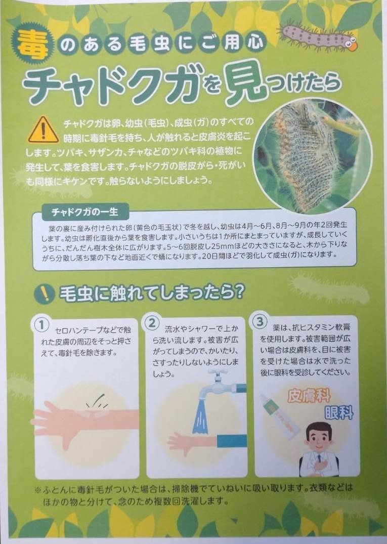公園のモンスターにご用心 吉村伊織 Note