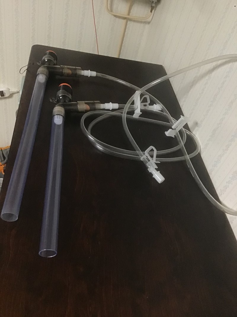 プロホースmとlの違いはこれだけ ゆーいちの水槽部屋 Note