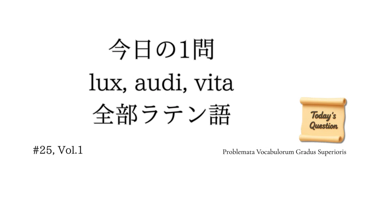 見出し画像