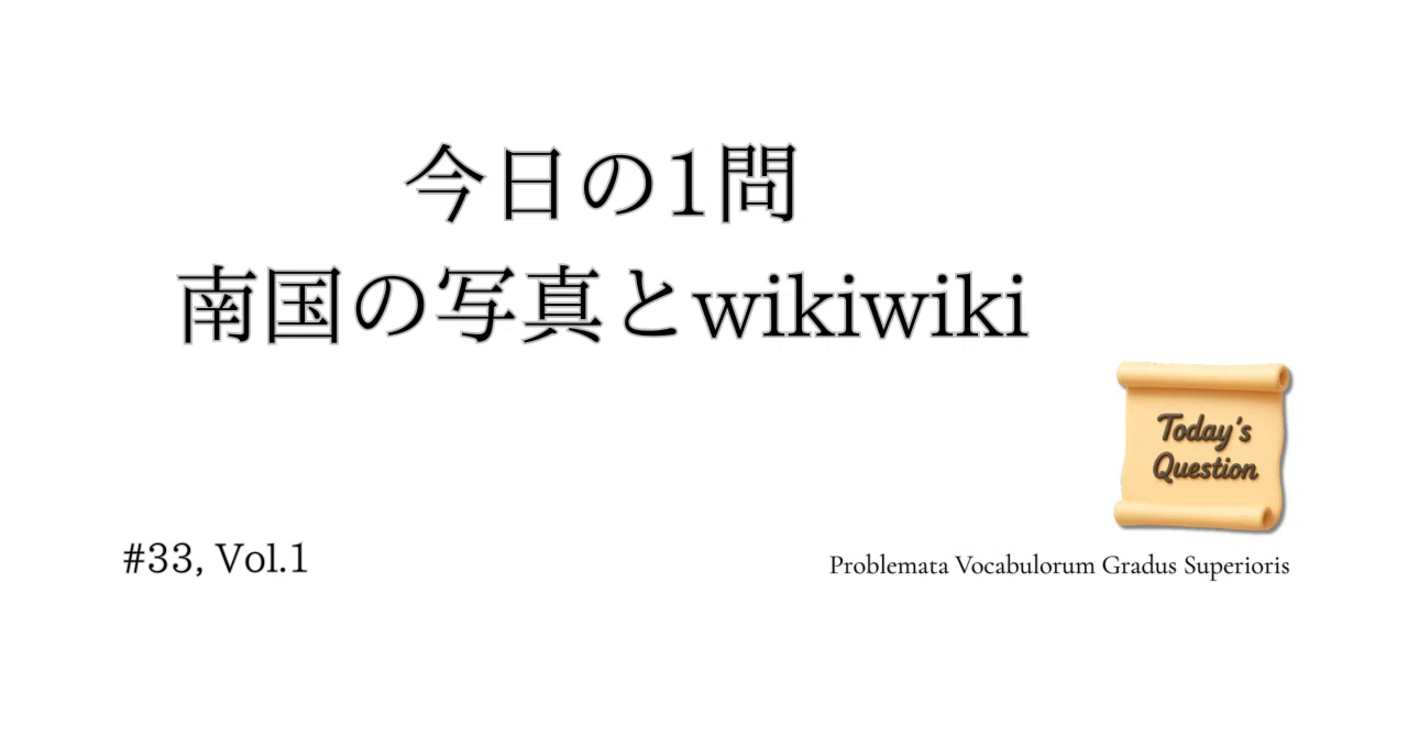 見出し画像