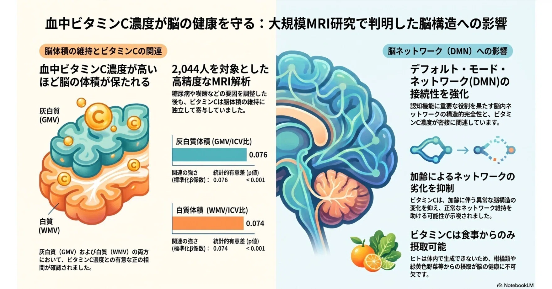 【中古】 脳の働きと脂質 ビタミンCと老化する脳：構造的なつながり｜Makisey