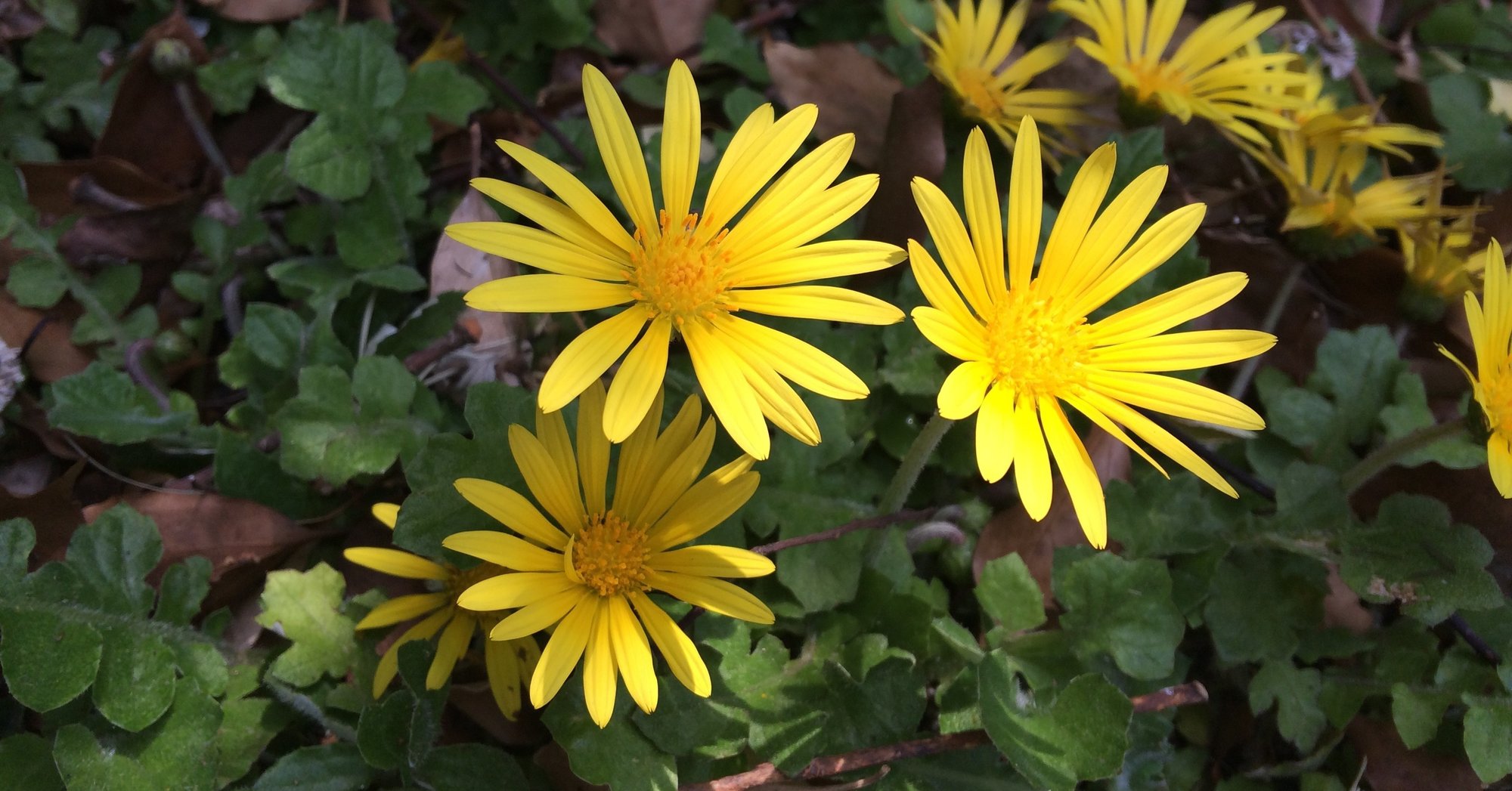 人生は 縁と運とタイミング ふかけい Note 人生は 縁と運とタイミング ふかけい Note