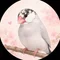 みかん