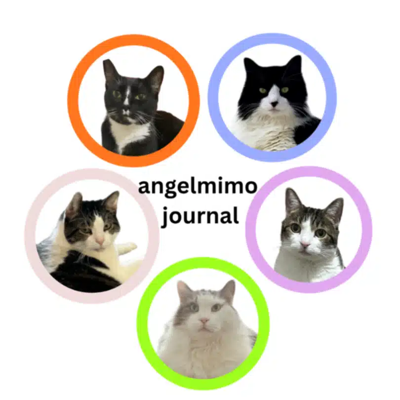 AngelMimo Journal @NYC