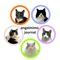 AngelMimo Journal @NYC