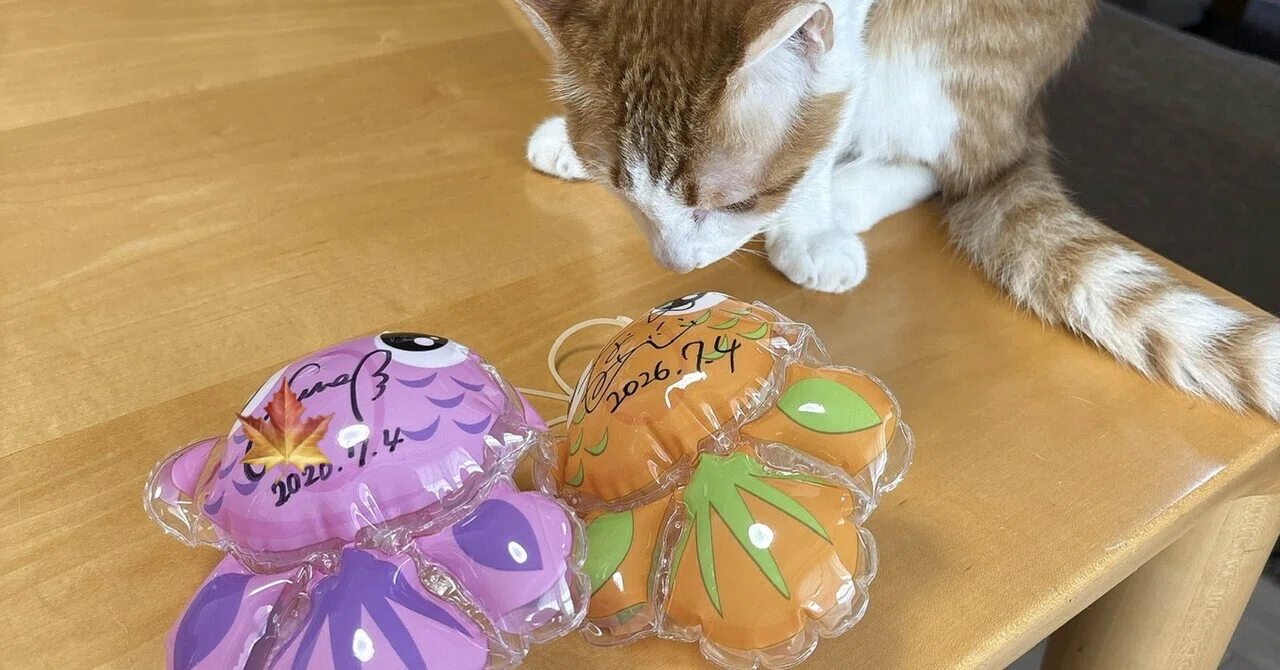 ラフ×ラフ】7月4日の備忘録 超NATSUZOME｜脂はむ