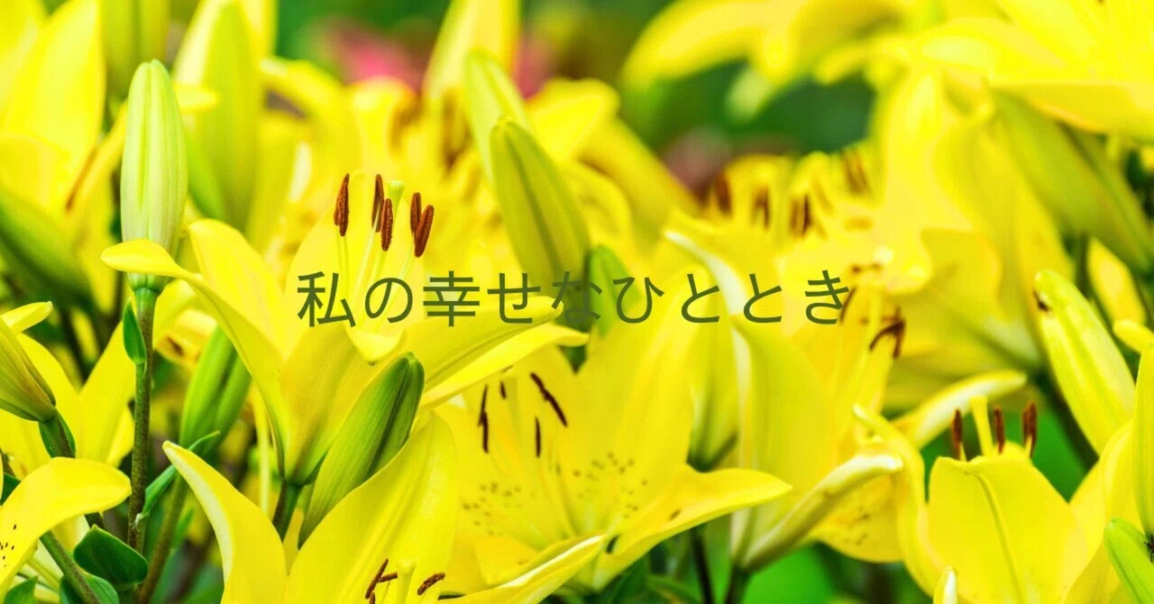 ゲーム：NUカーニバル その169 忘却の遺跡season22 忘却08｜瑚玻coha