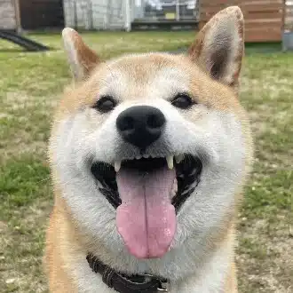ひできち