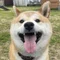 ひできち