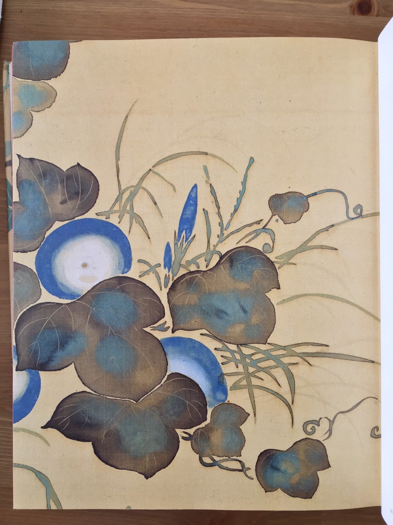 真作/高木富三/冨三/朝顔図/横物/夏の花/アサガオ/掛軸☆宝船☆AI-284 真作/高木富三/冨三/朝顔図/横物/夏の花/アサガオ/花鳥