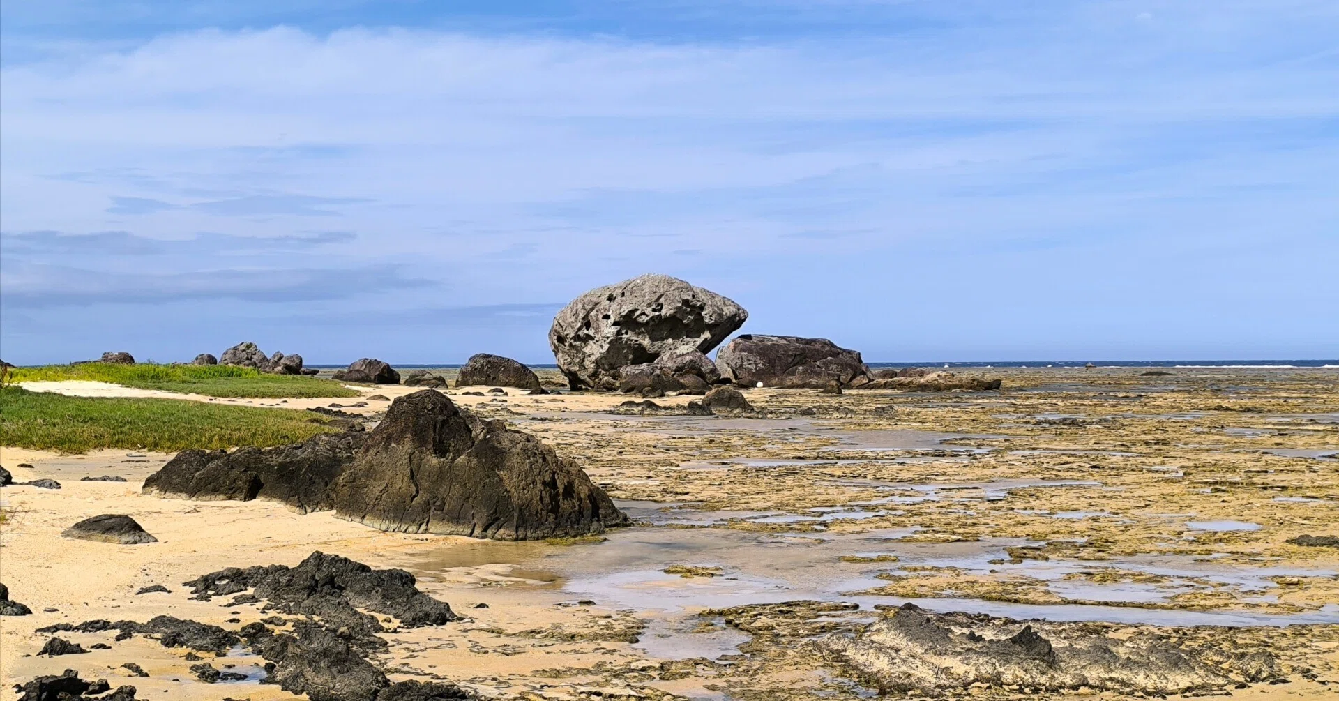 奄美大島⑧固有種溢れる世界自然遺産で出会ったのは鳥ではなく人だった