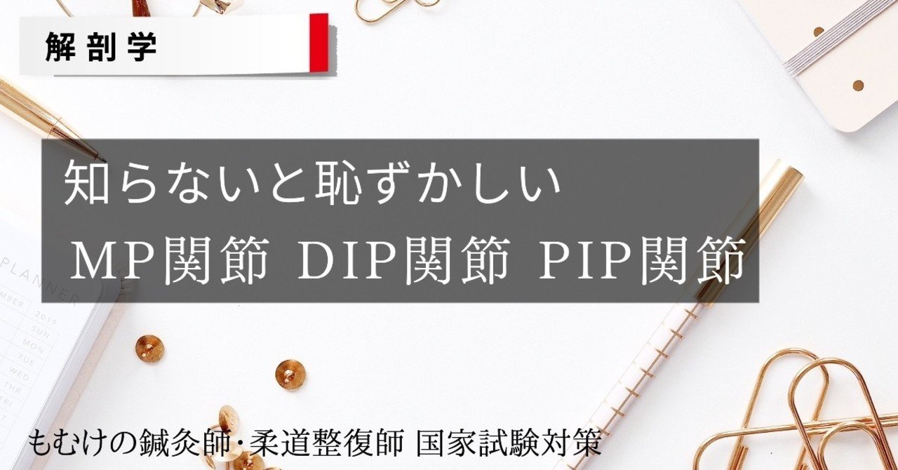 解剖学 知らないとやばいの Mp関節 Dip関節 Pip関節ってどこ 森元塾 国家試験対策 Note