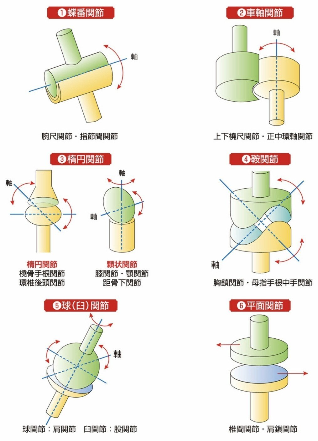 運動前の柔軟で関節を労る 関節の6タイプ 過程日記 山形元気 Note 運動前の柔軟で関節を労る 関節の6タイプ 過程日記 山形元気 Note