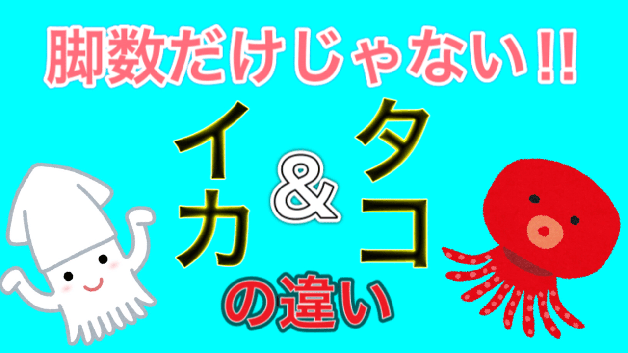 イカとタコの違い 釣り 山阿呆の大学生 Note