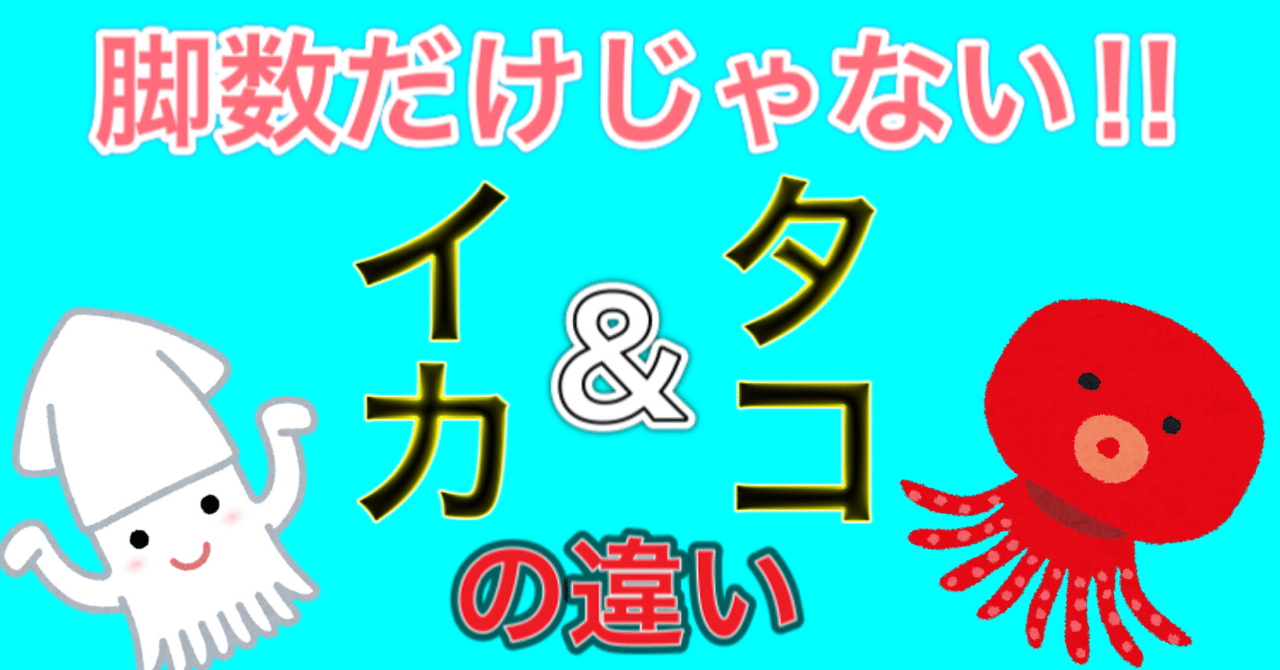 イカとタコの違い 釣り 山阿呆の大学生 Note