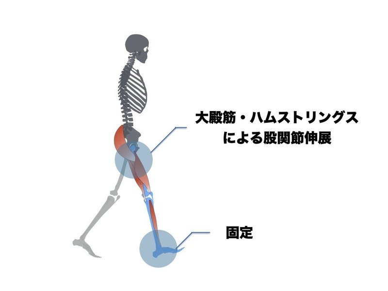 重心前方移動のための股関節伸展トレーニング 平 純一朗 Pt Jspo At Note