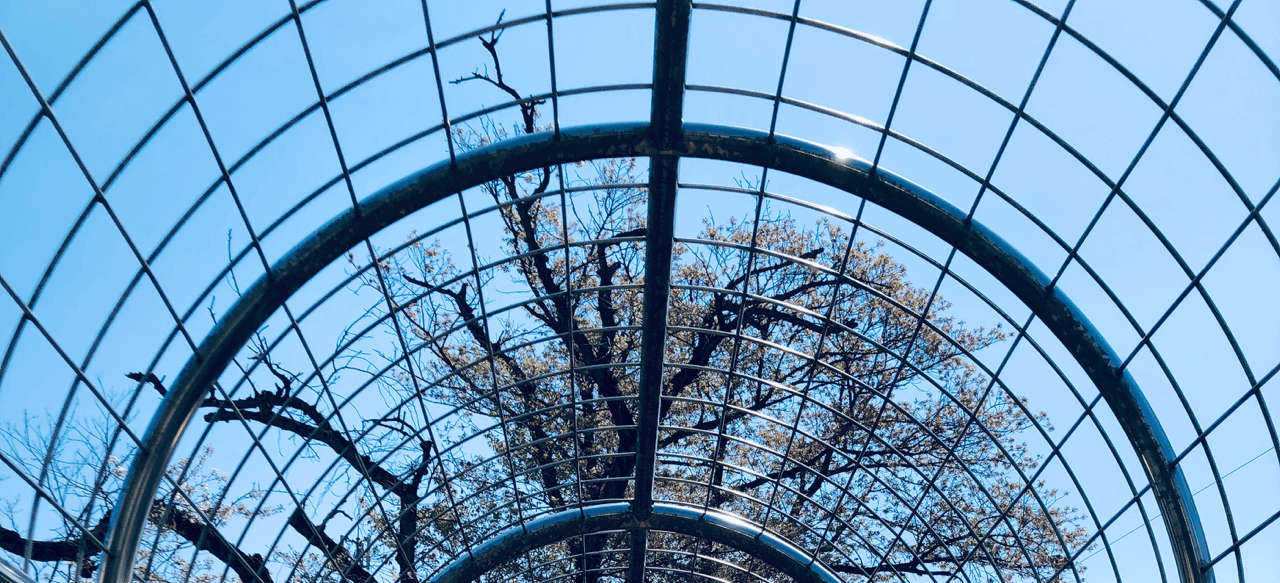 無機質なタイムトンネル Chie Suzuki おうじゃ Note