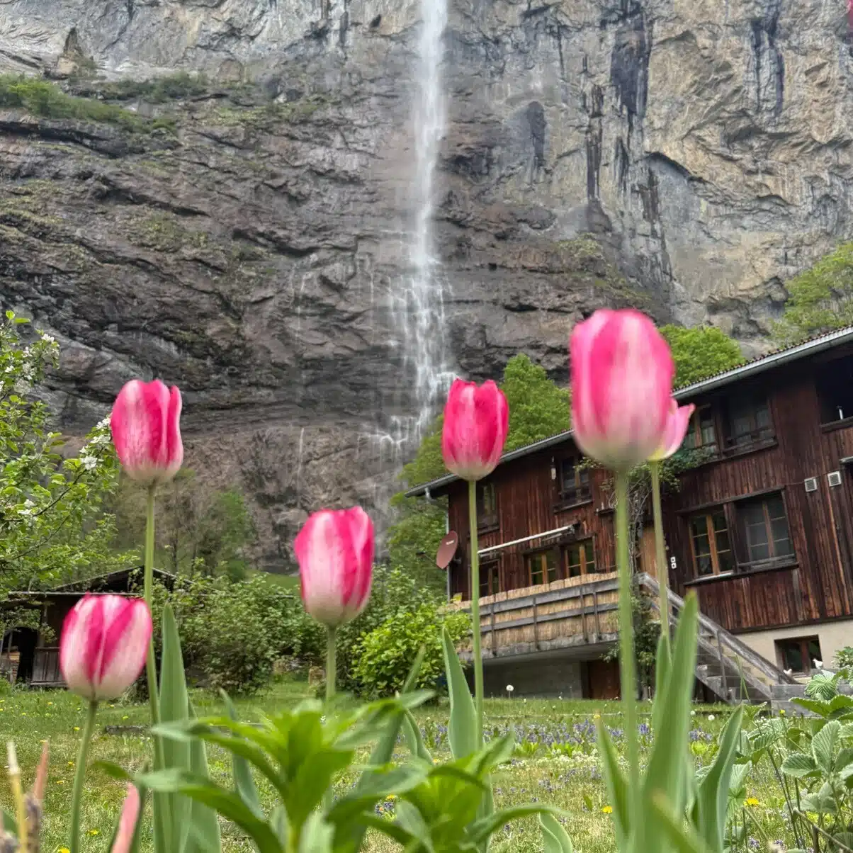 🇨🇭スイス暮らし🇨🇭by swissalps