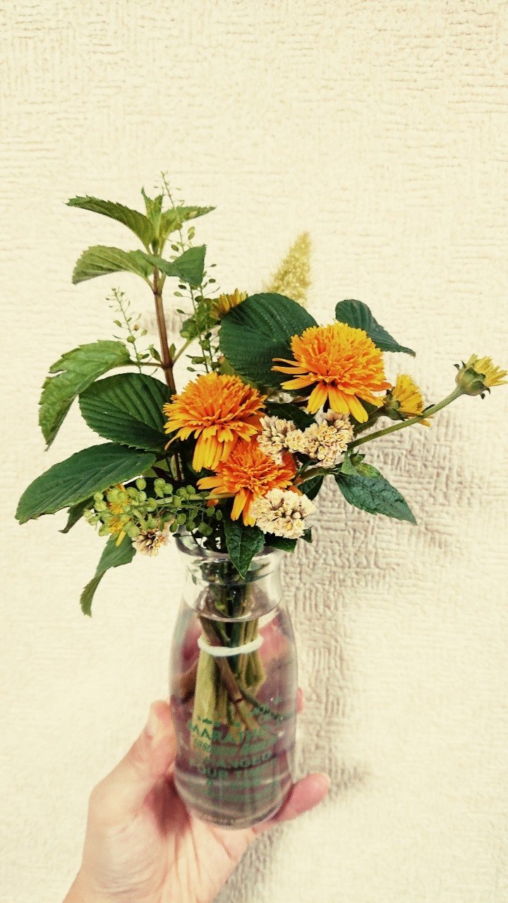 金魚が 死んだ 笹熊 こつゆ Note