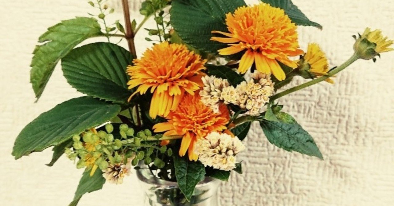 金魚が 死んだ 笹熊 こつゆ Note