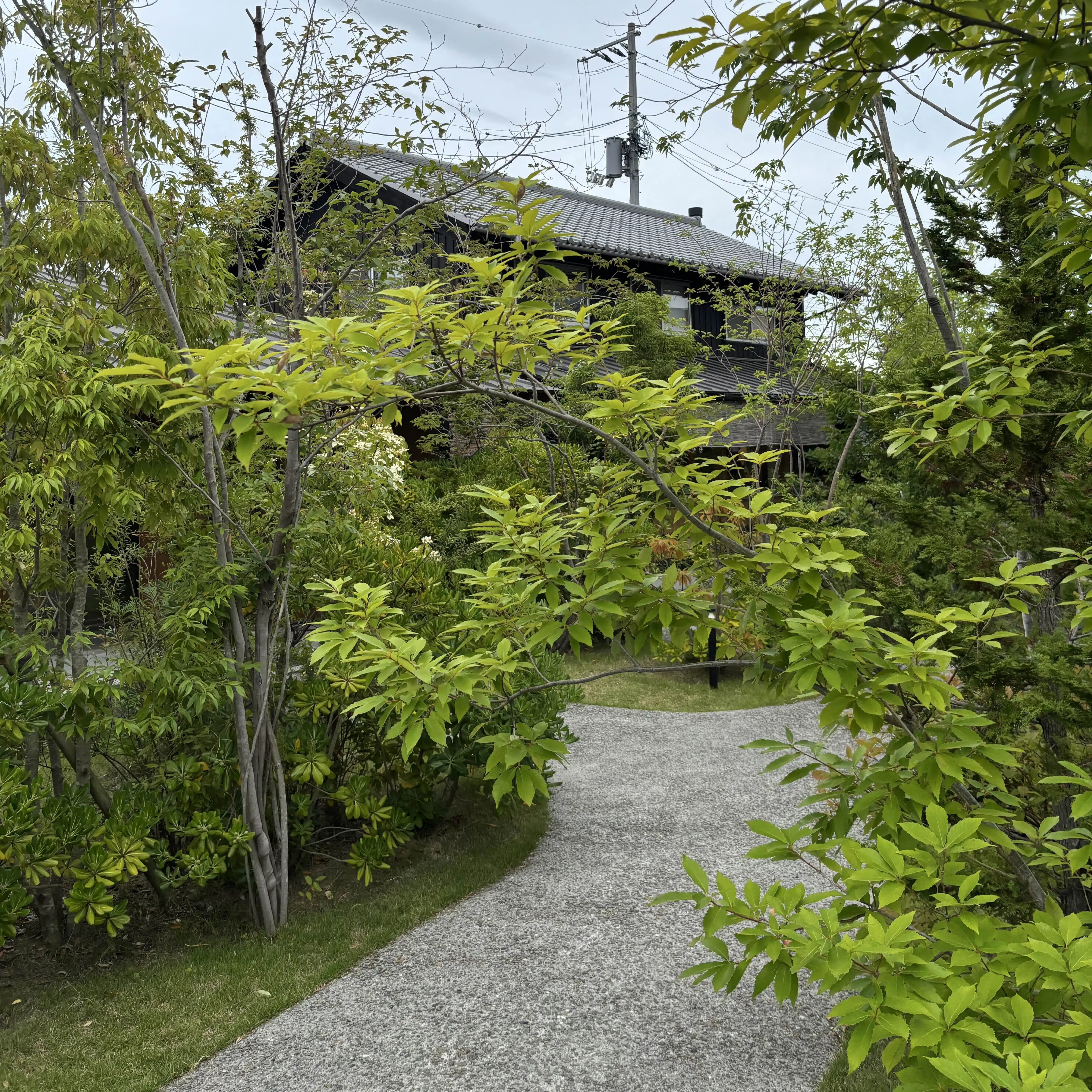 ハカナ毛〜仁なる者〜