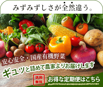 グループ制作課題 有機野菜サイト Kinoko Note