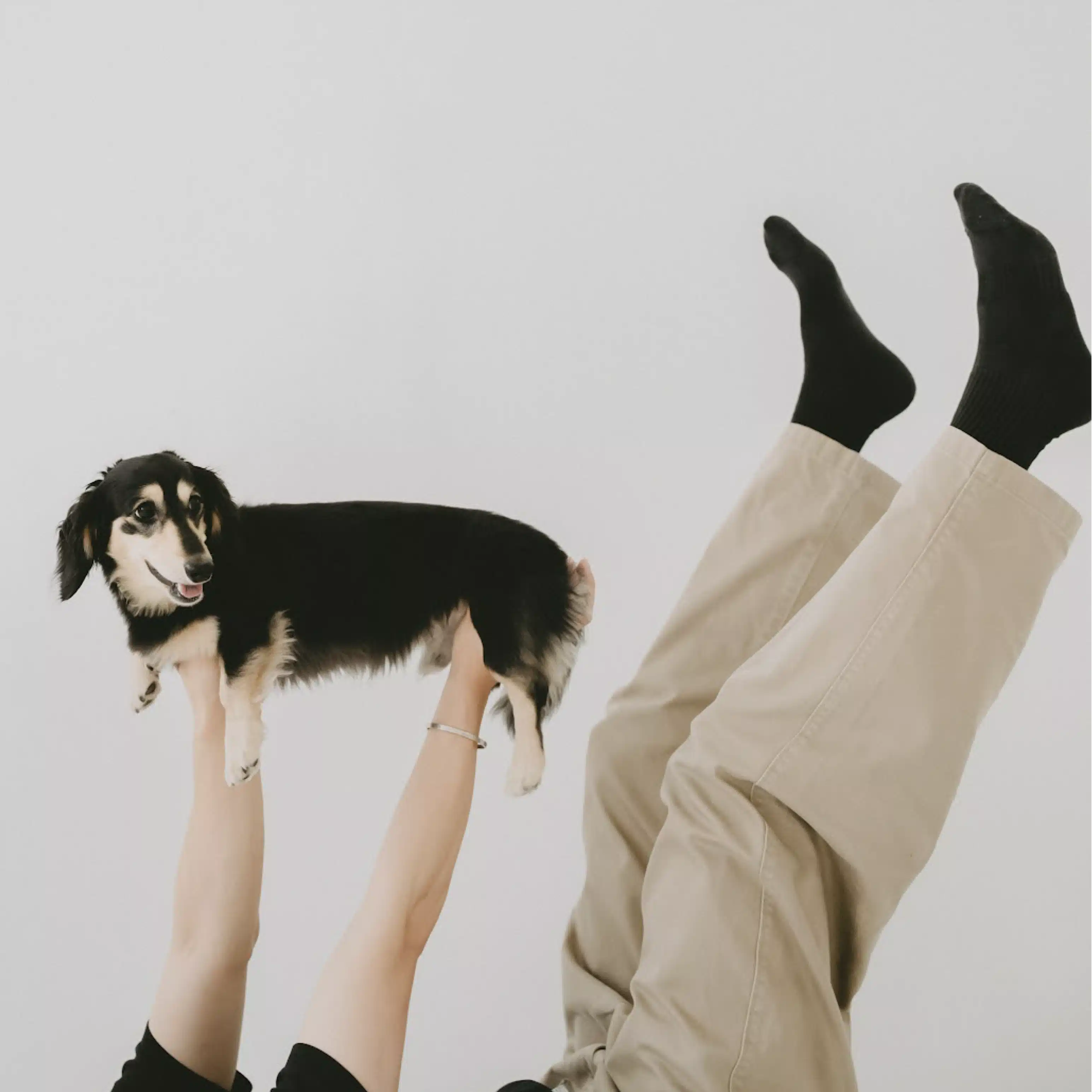 コウ🐶｜犬に遊んでもらってる27歳🐾