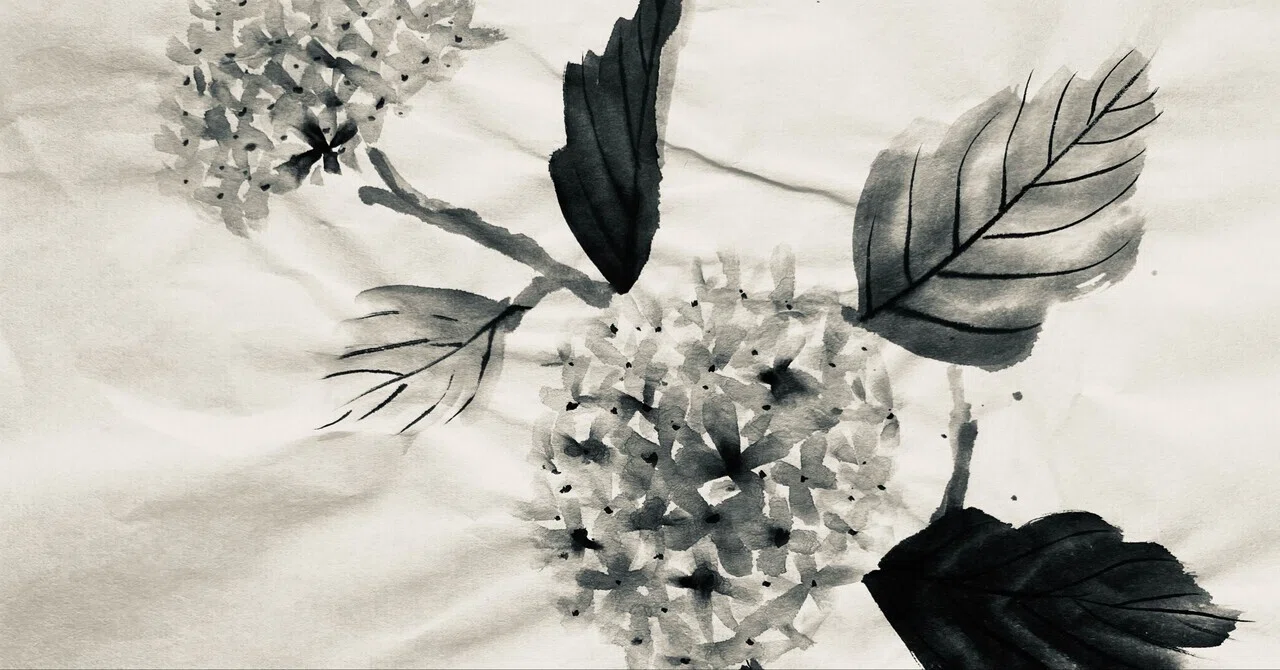 紫陽花の季節｜madokasora11