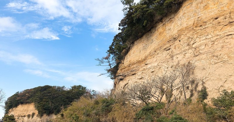 本牧の地層 みりん Note