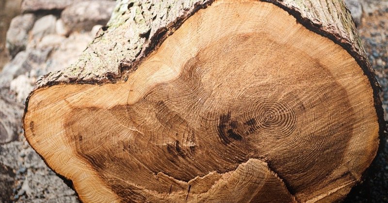 都市木造への考察①　「背に腹はかえられない」とは言えない木材利用｜木材の基礎知識