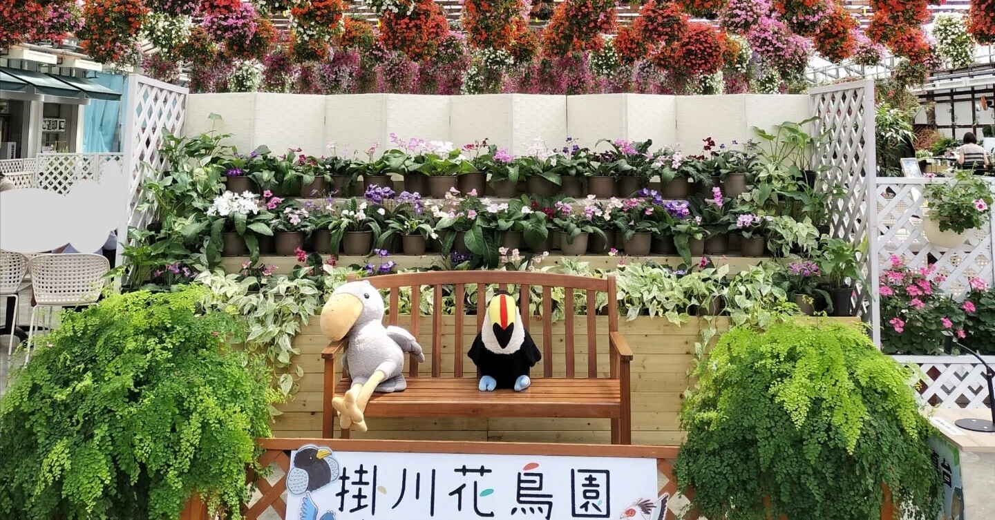 アートケアだより2026年7月号 ☆ 掛川花鳥園で様々な鳥を、間近で見て