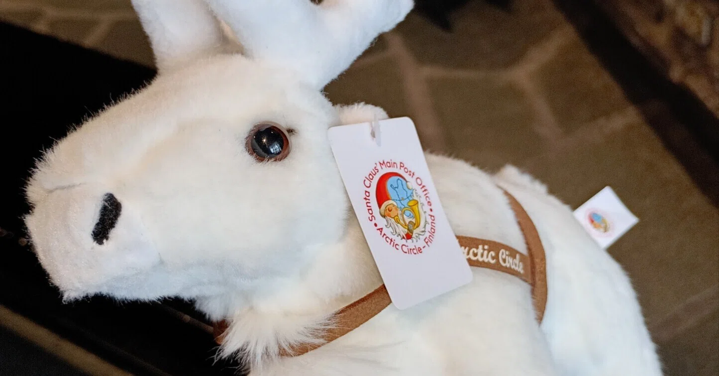 2026/6 サンタ村でトナカイのぬいぐるみを買う｜a5n