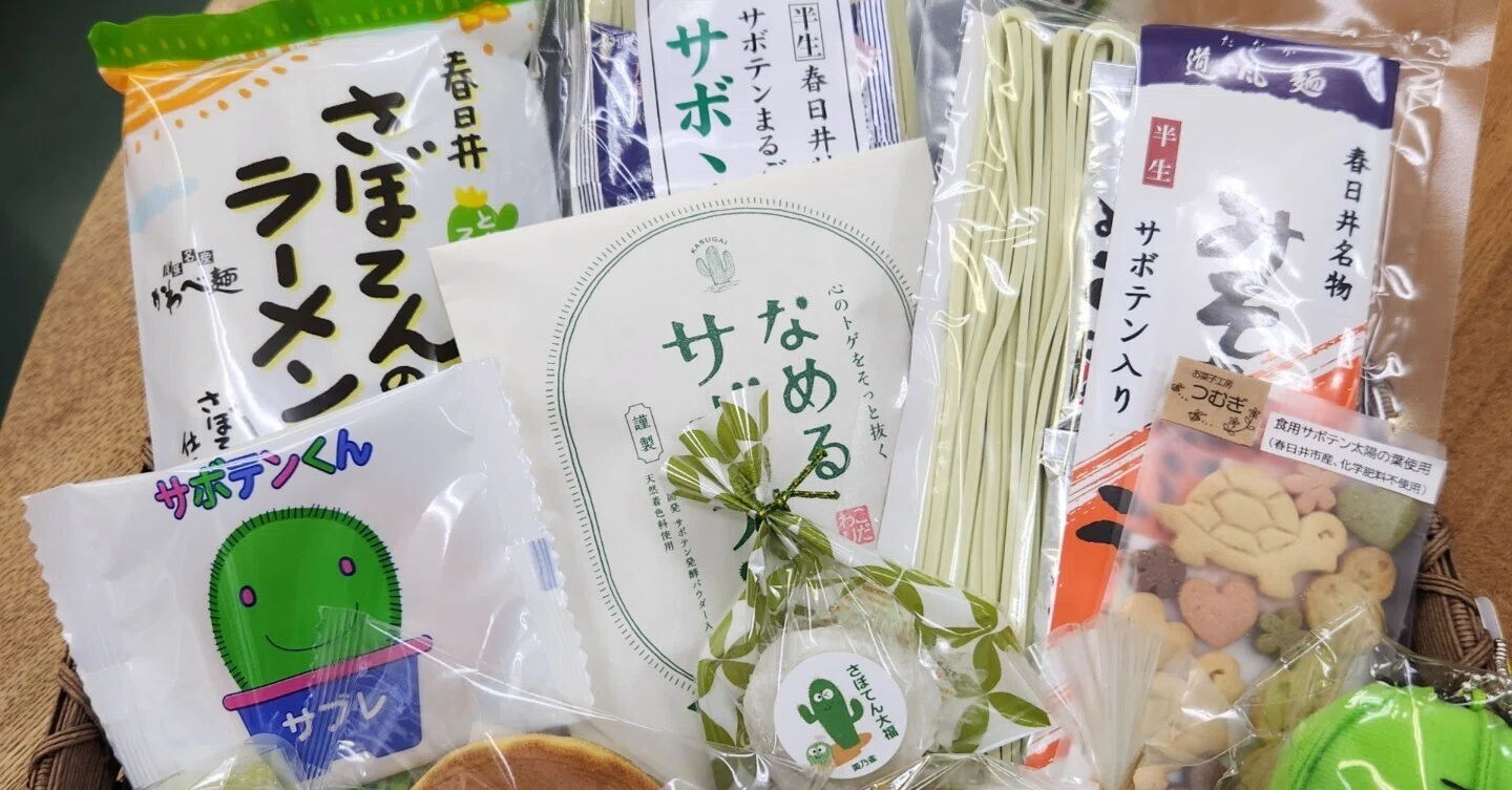 春日井サボテン商品事情｜春日井サボテンラボ＆ショップ こだわり商店