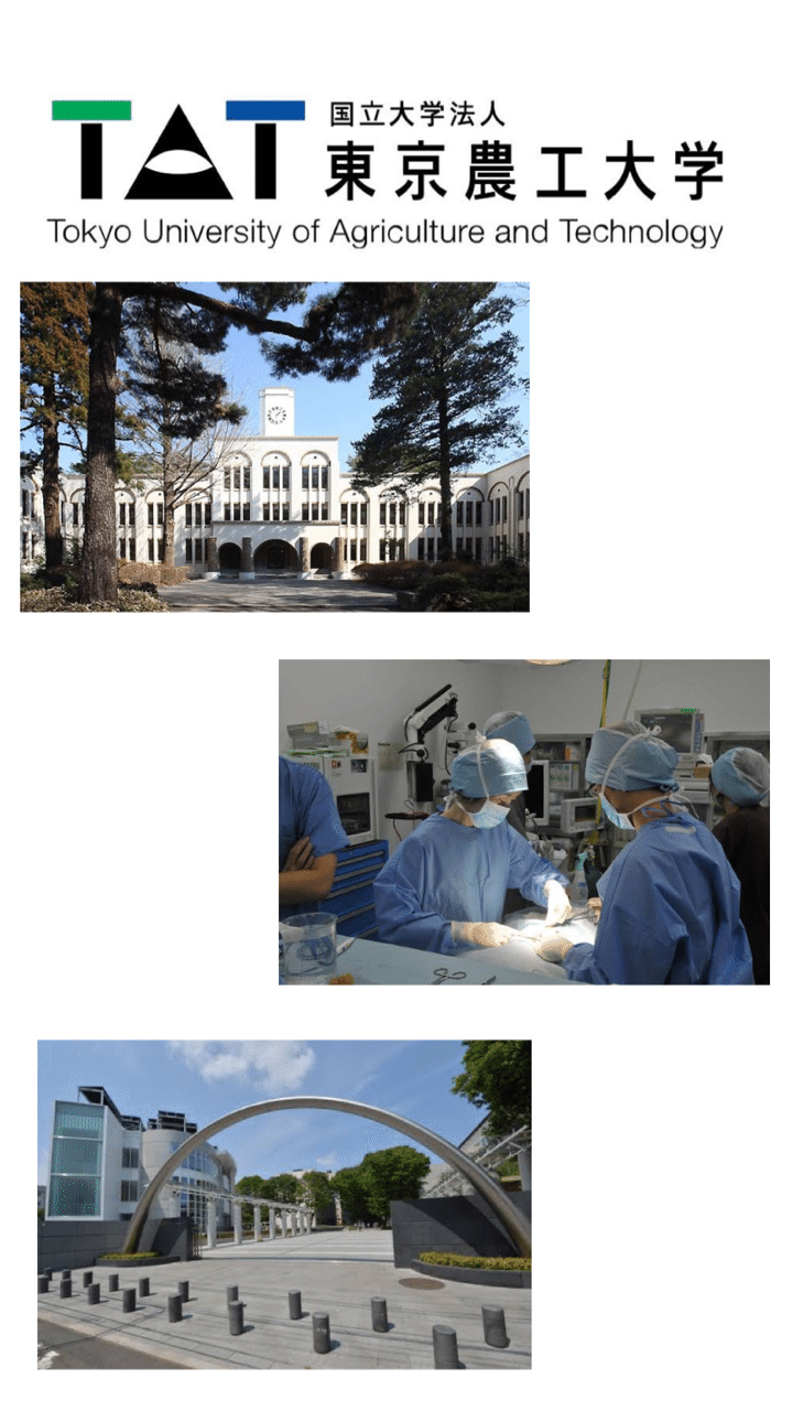 東京農工大学 共同獣医学科 獣医学部入試情報まとめ Note 東京農工大学 共同獣医学科 獣医学部入試情報まとめ Note
