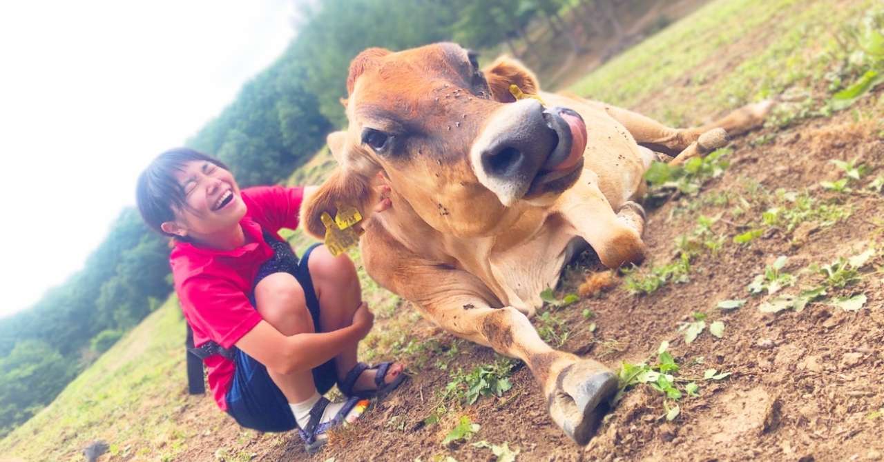 牛のことが大好きなので 鹿の事業をしています あかりんごの放牧観察 Note